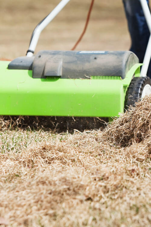 Cutting Grass