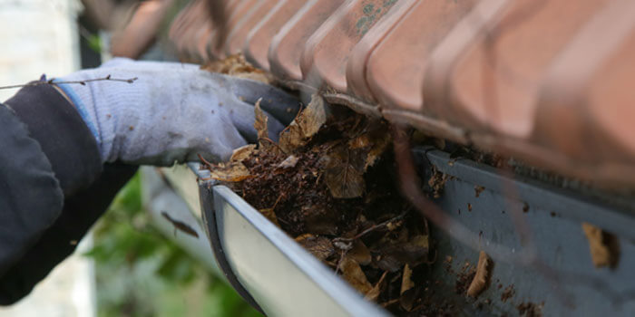 Gutter Cleanouts